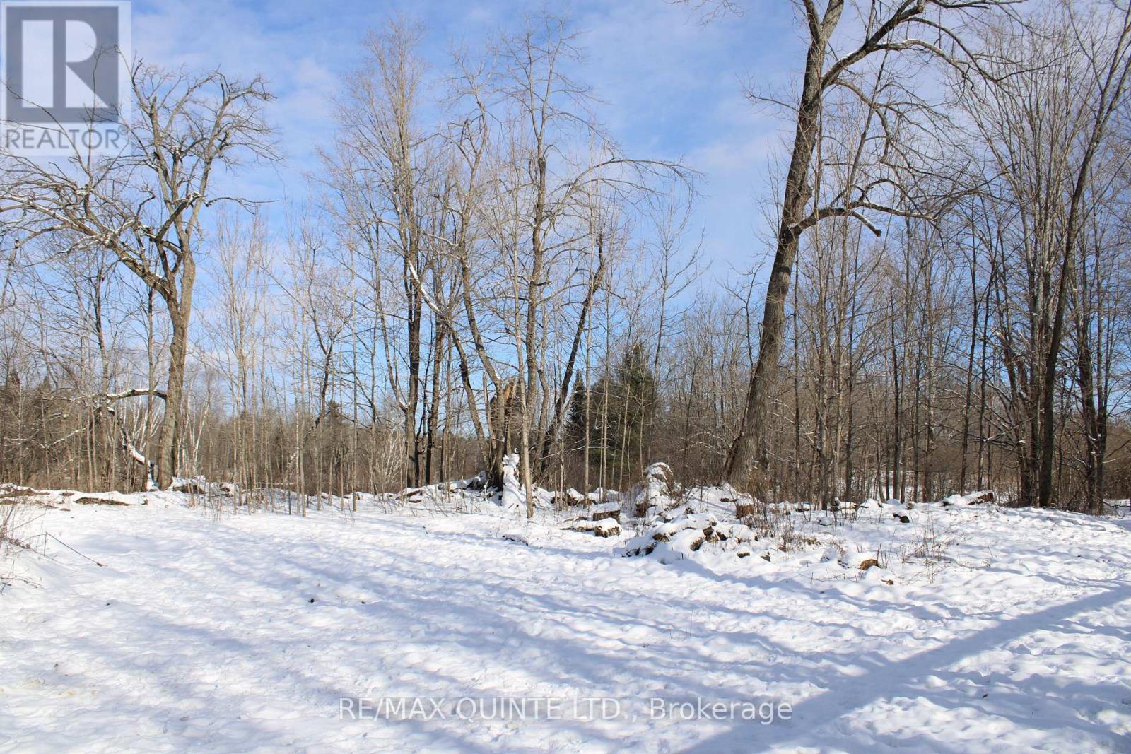 494 TWIN SISTER LAKES ROAD