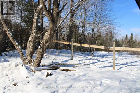 494 TWIN SISTER LAKES ROAD Marmora and Lake (Marmora Ward) ON K0K2M0