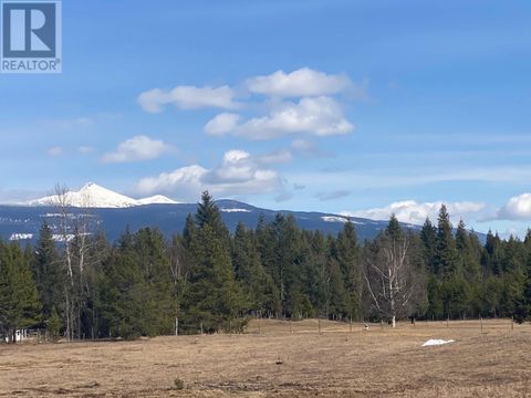 134 Wadlegger Road Clearwater BC V0E1N0