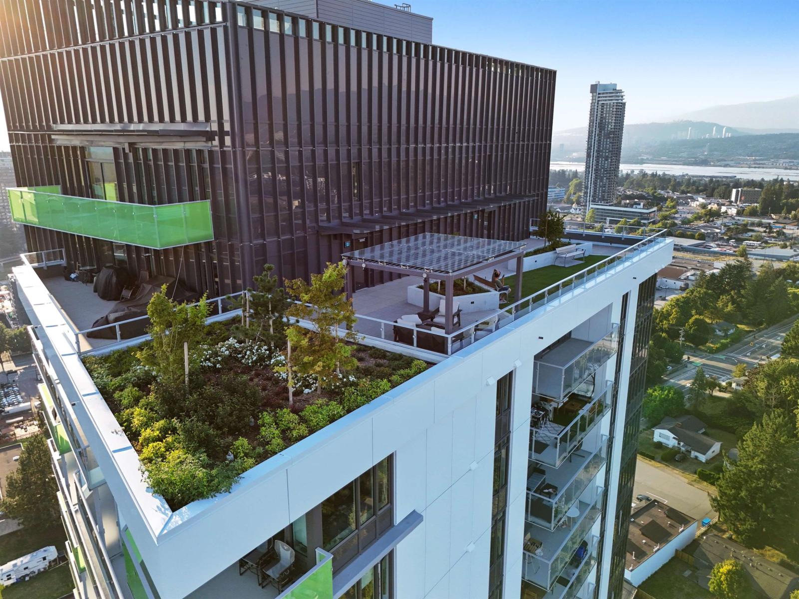 3102 10428 WHALLEY BOULEVARD