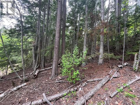 Lot 37 Vickers Trail Lot# 37 Anglemont BC V0E1M8