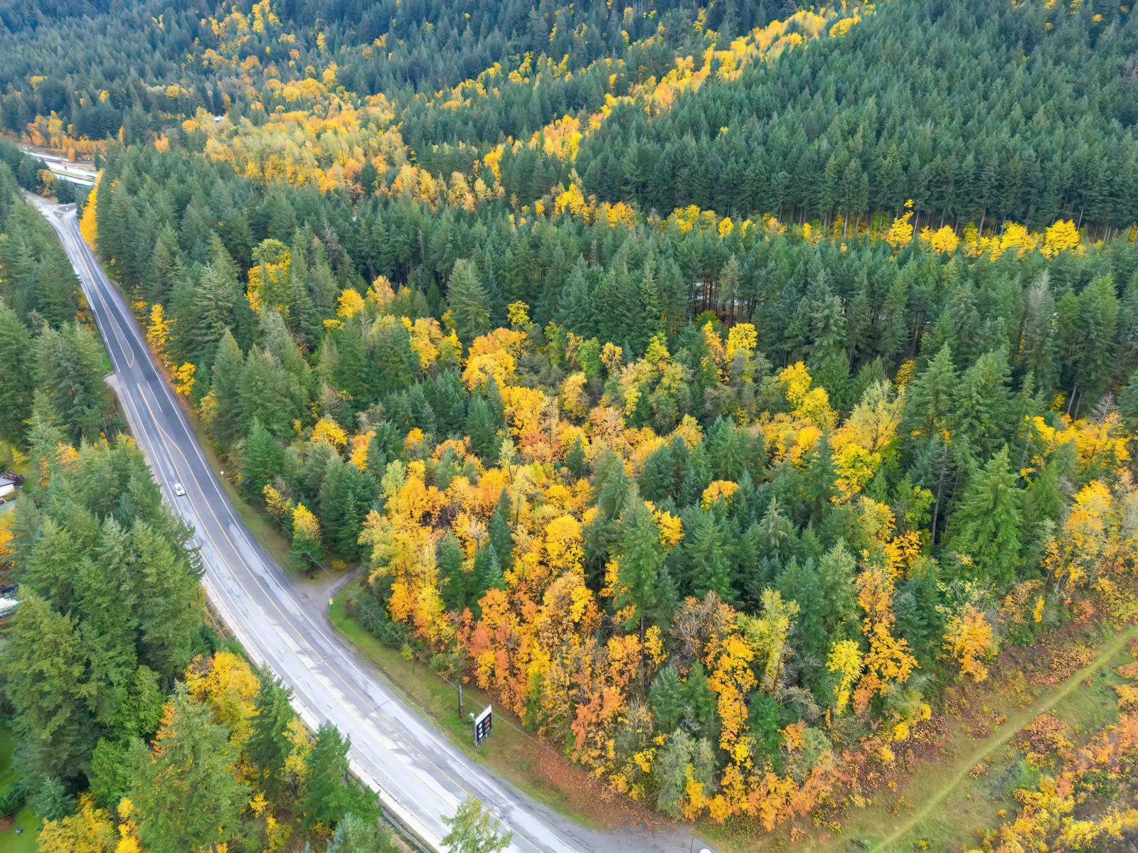 950 OLD HOPE PRINCETON WAY|Hope