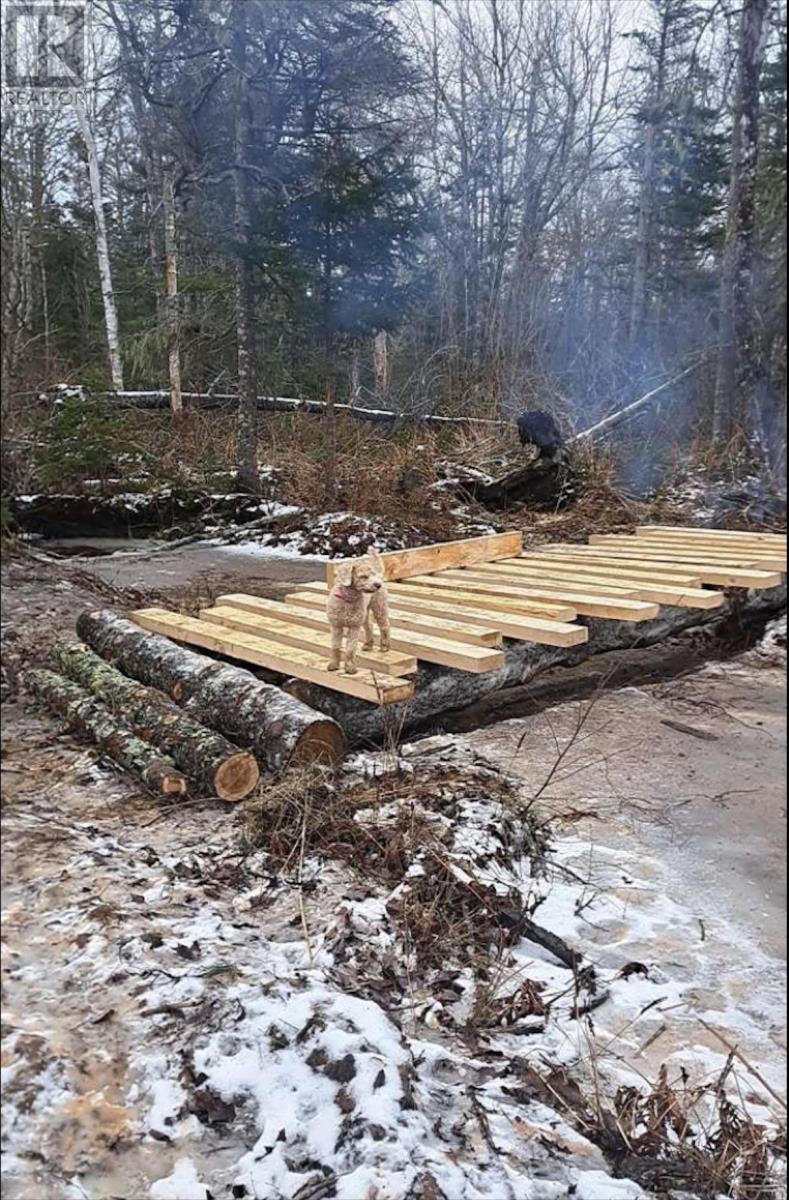 ACREAGE GUERNSEY COVE Road - Photo 2