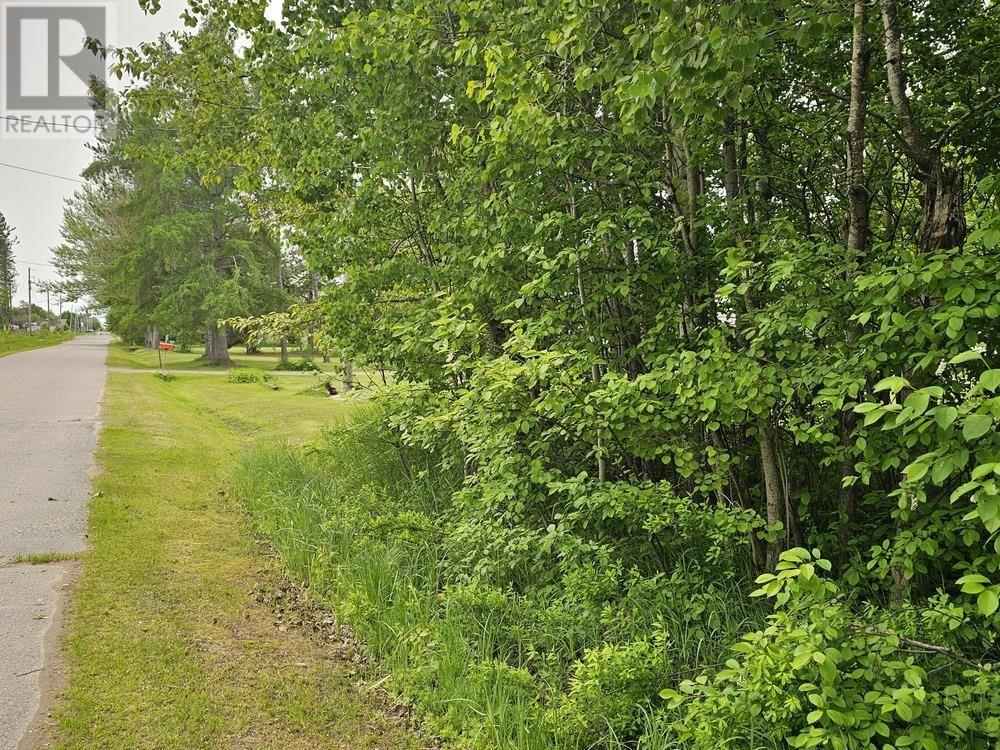 Homes for Sale Sault Ste. Marie 187 Lake ST|Vacant land yet to be severed