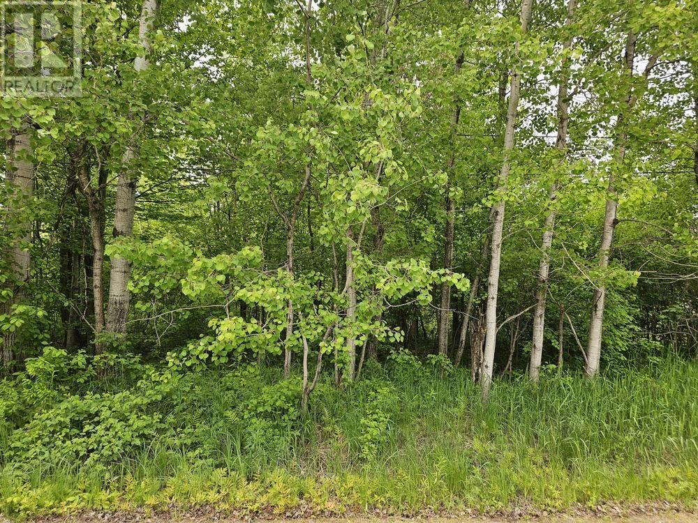 Homes for Sale Sault Ste. Marie 187 Lake ST|Vacant land yet to be severed