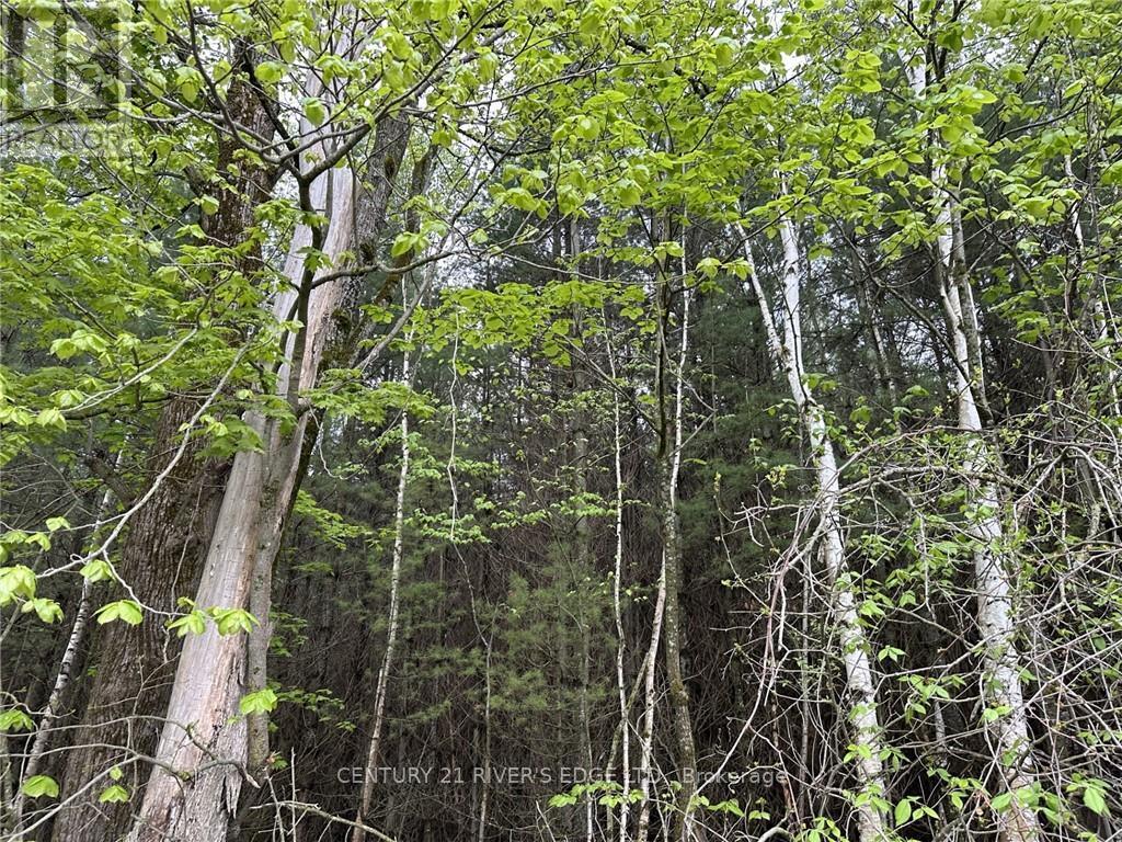 12082 LAND O'NOD ROAD