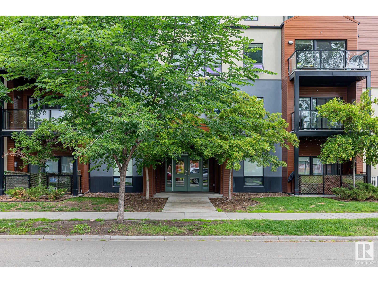 #203 10006 83 St NW