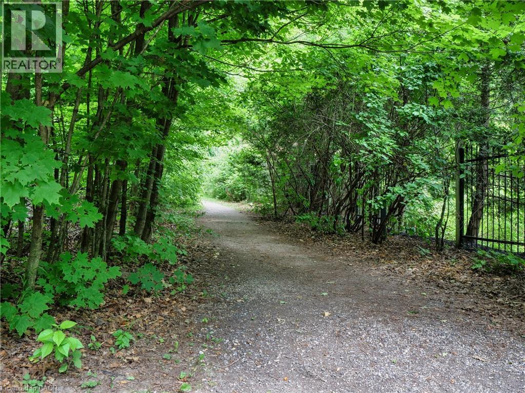 317 WINTERBURG Court