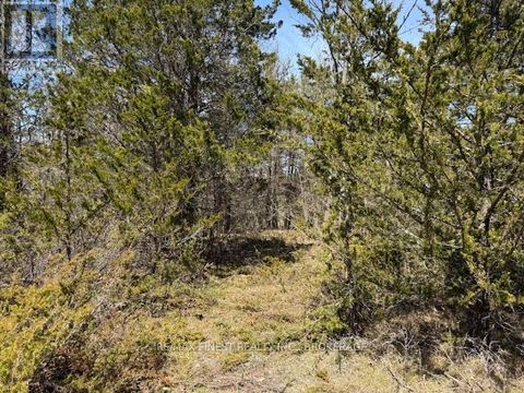 590 LOVE ROAD Loyalist (Lennox and Addington - South) ON K0H2H0