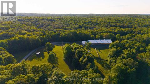 1123 NU-NE LANE Algonquin Highlands (Stanhope) ON K0M1S0