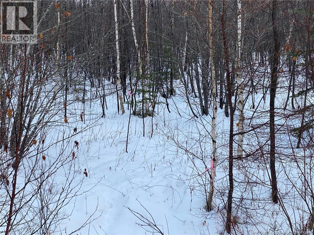 Lot 21-4 Waterway Road - Photo 4