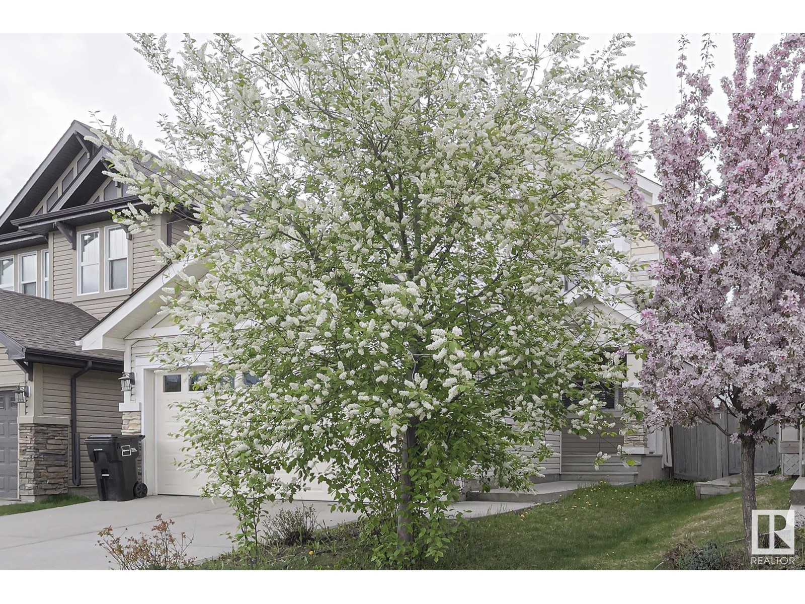 2533 COLE CR SW