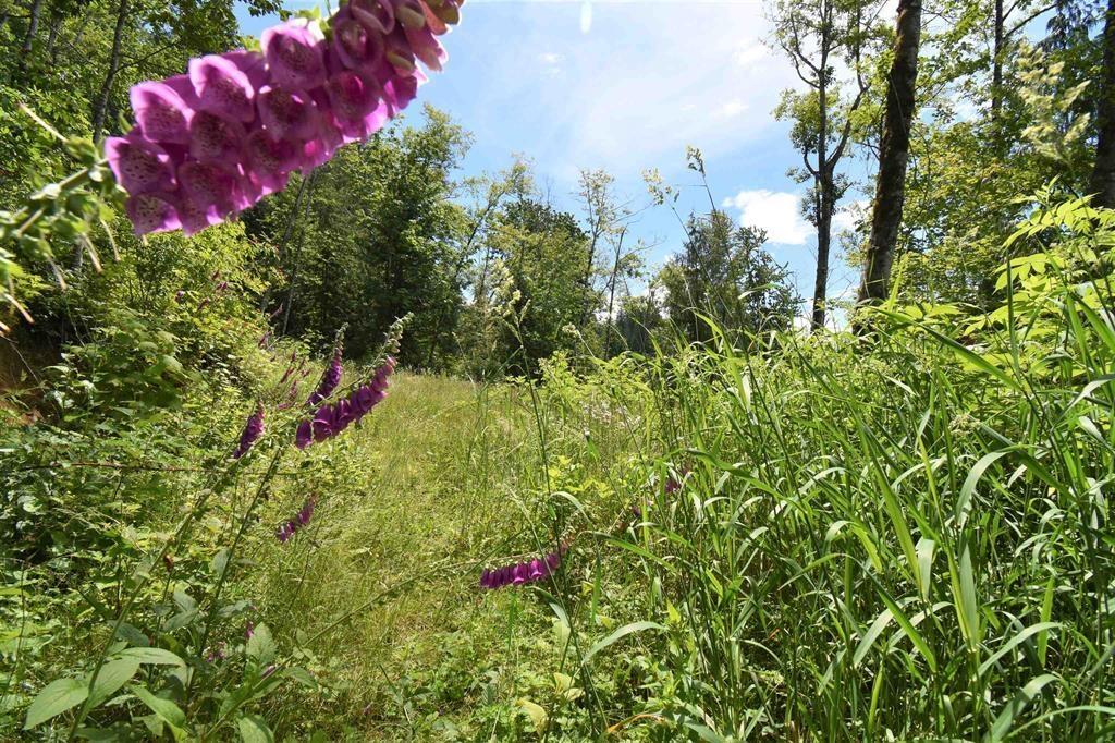 48875 ELK VIEW ROAD|Ryder Lake