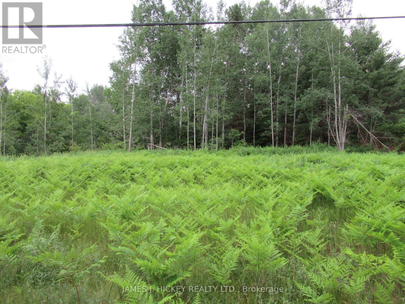 Photo 1 of 7 — PT LOT 48, RANGE B HWY 17 HIGHWAY, Laurentian Hills, ON K0J2H0