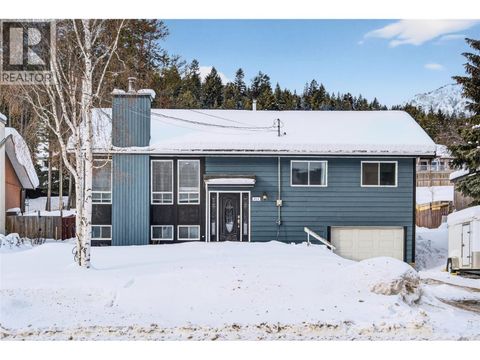 911 Alpine Way Elkford BC V0B1H0