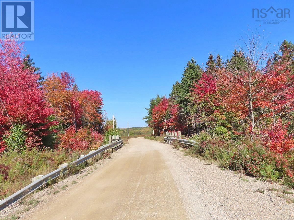 128.5 Acres West Side Road