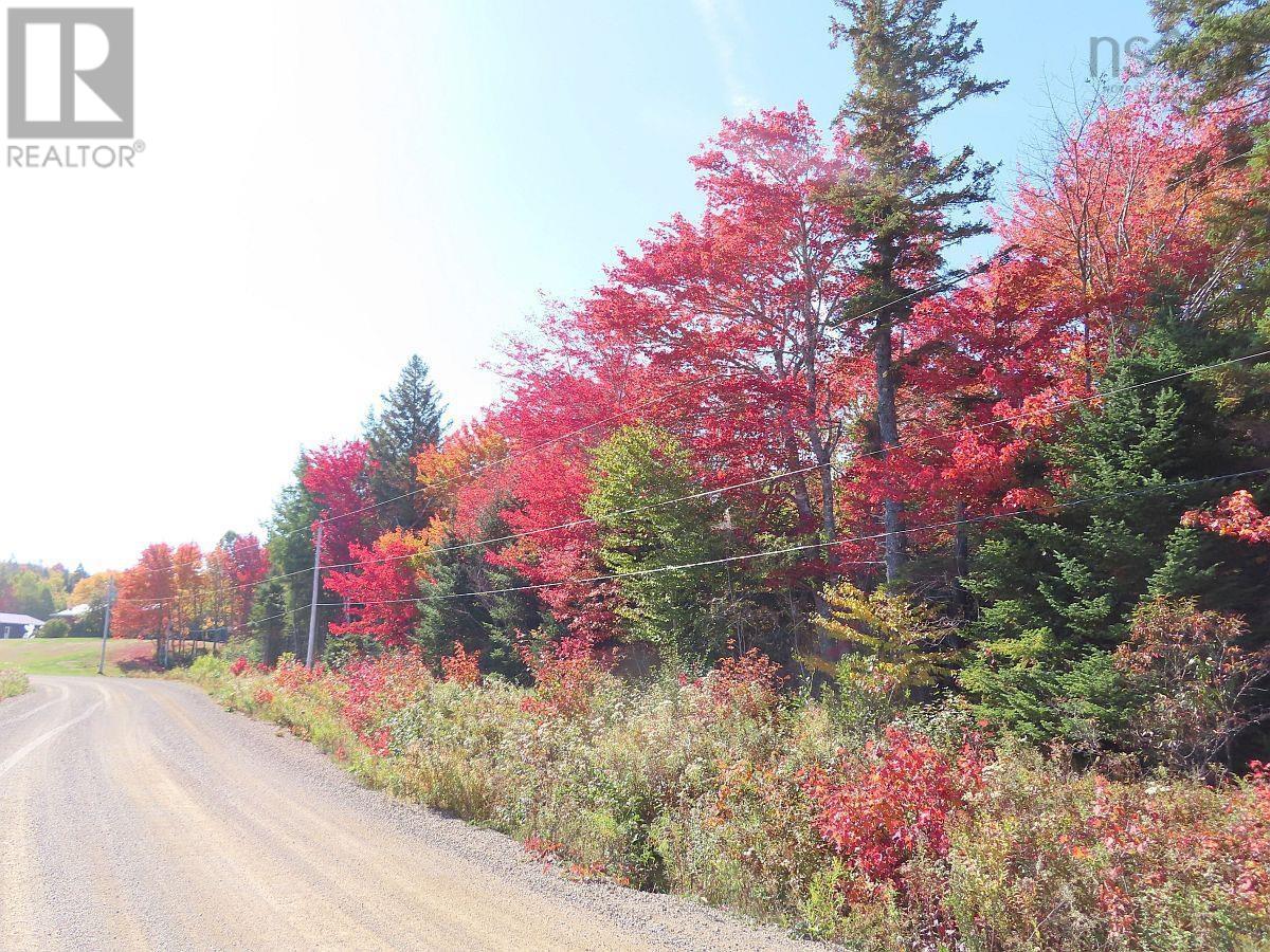 128.5 Acres West Side Road