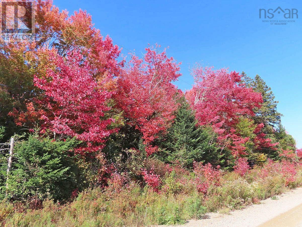 128.5 Acres West Side Road