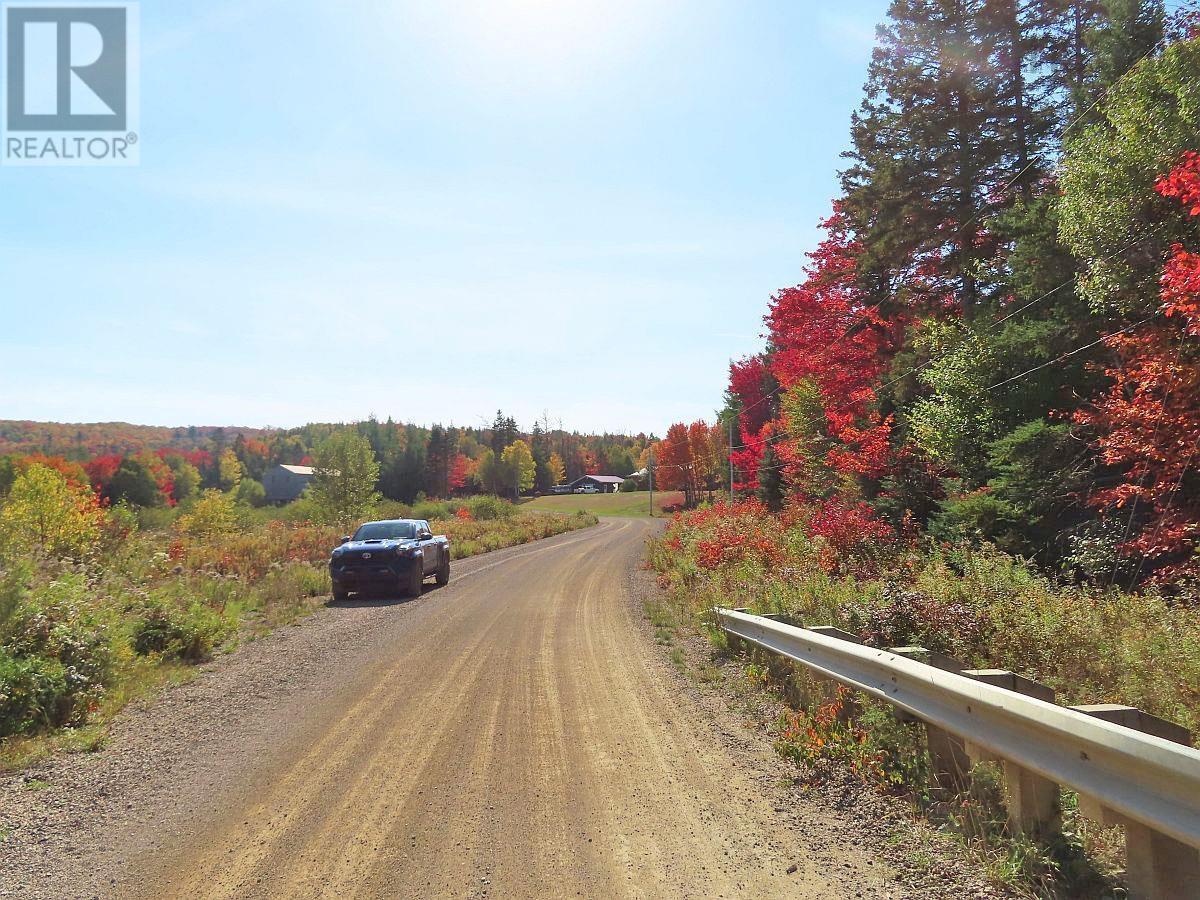 128.5 Acres West Side Road