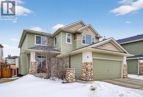 133 Cimarron Drive Okotoks AB T1S2P2