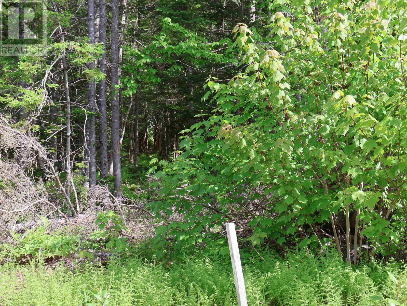 Lot 2, 3, 6 Leitches Creek Rd