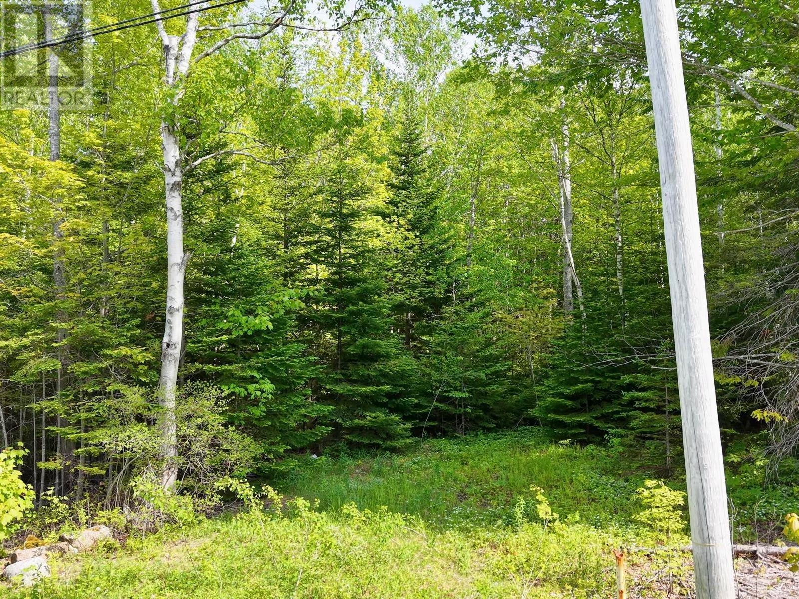 Lot 2, 3, 6 Leitches Creek Rd
