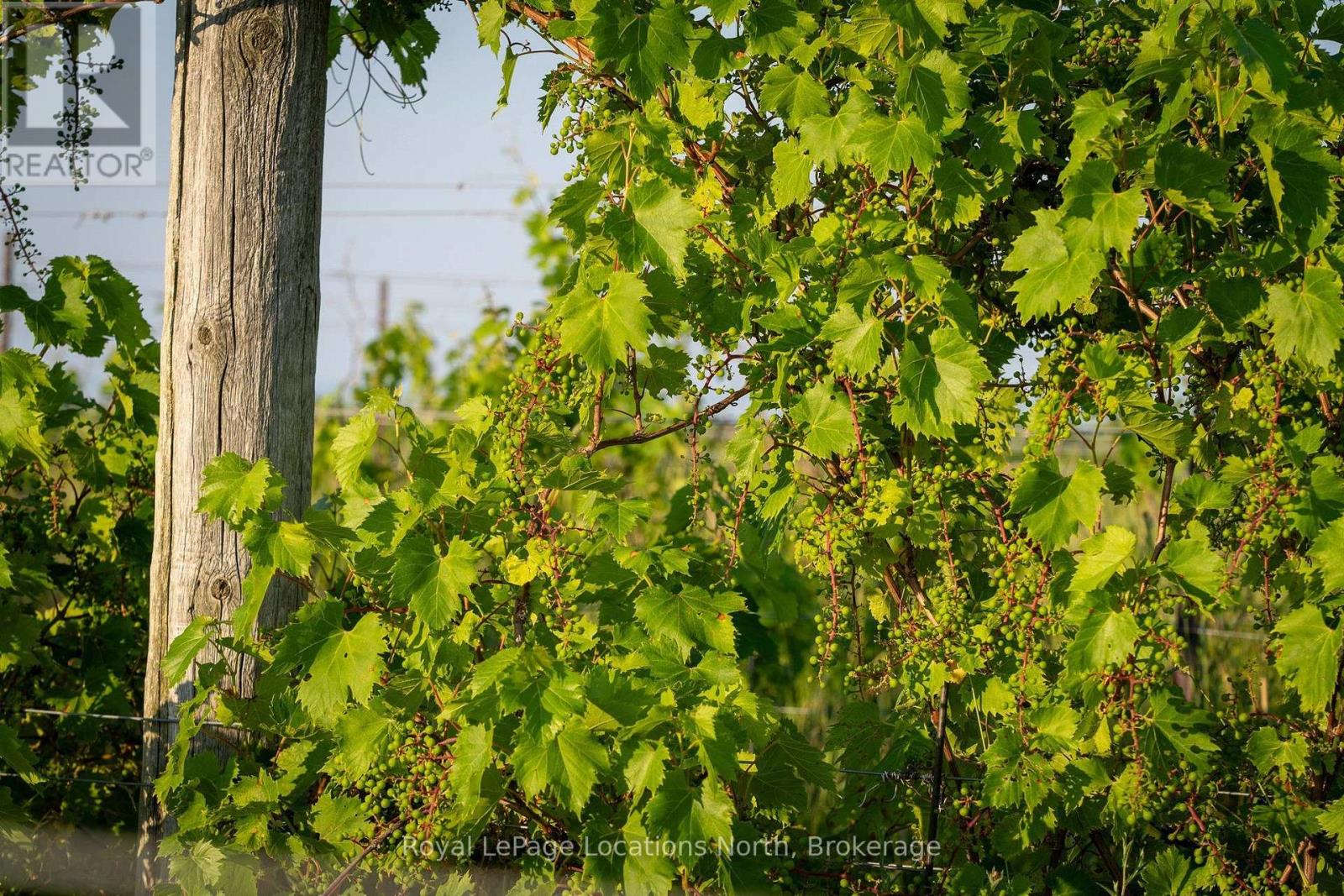 357065 THE BLUE MOUNTAINS MEAFORD TOWNLINE ROAD