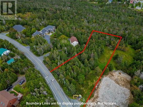 151 Dogberry Hill Road Portugal Cove-St.Philips NF A1M1C3