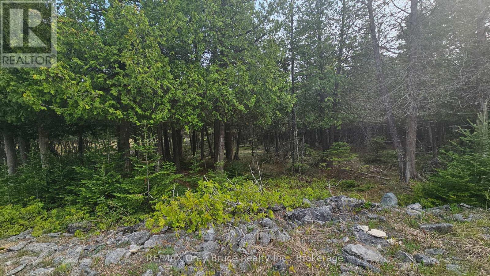 LT 254 DORCAS BAY ROAD