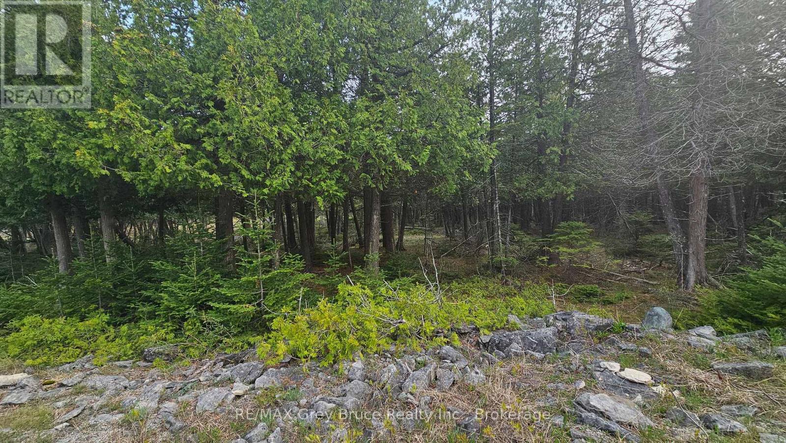LT 254 DORCAS BAY ROAD