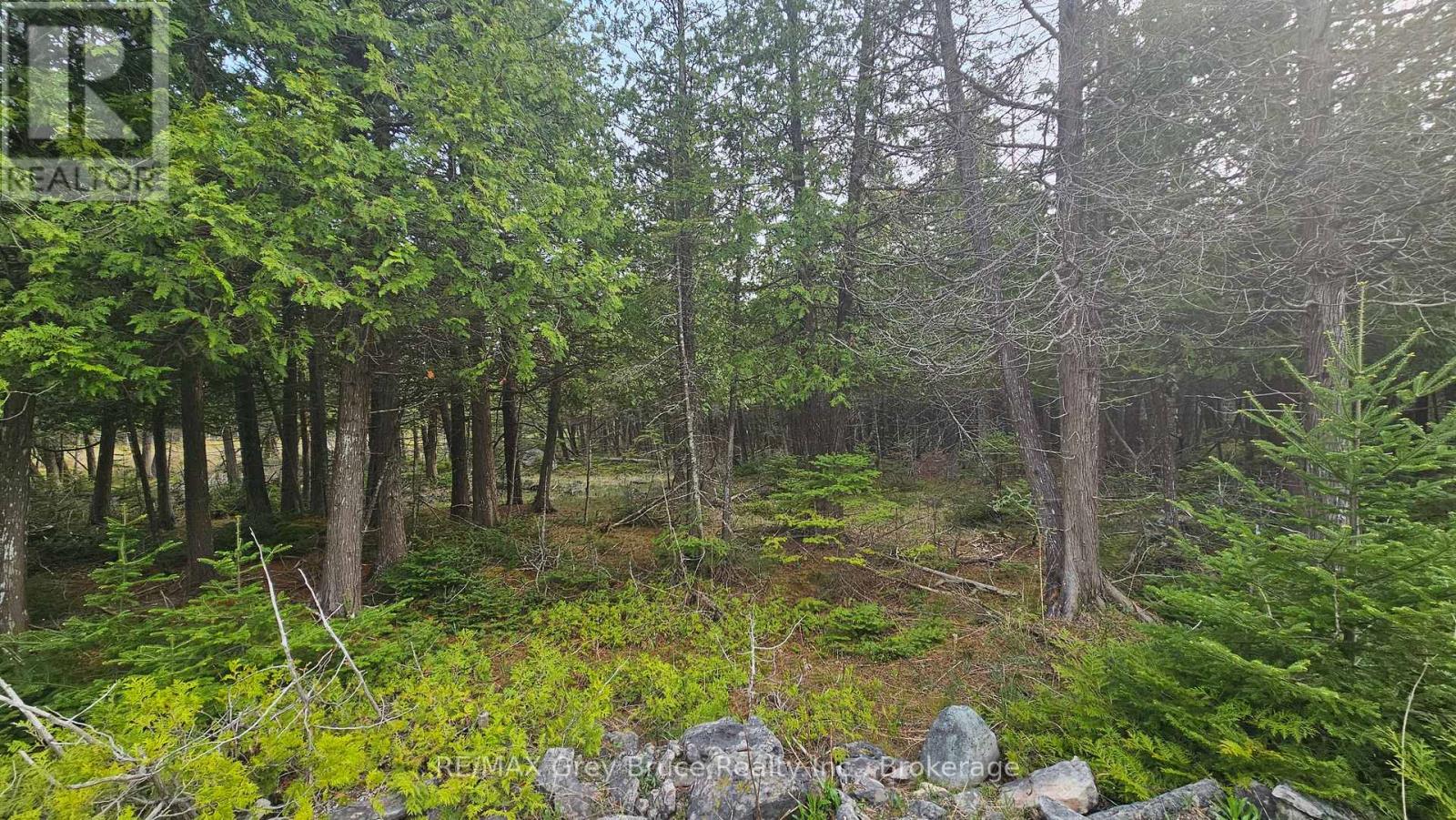 LT 254 DORCAS BAY ROAD