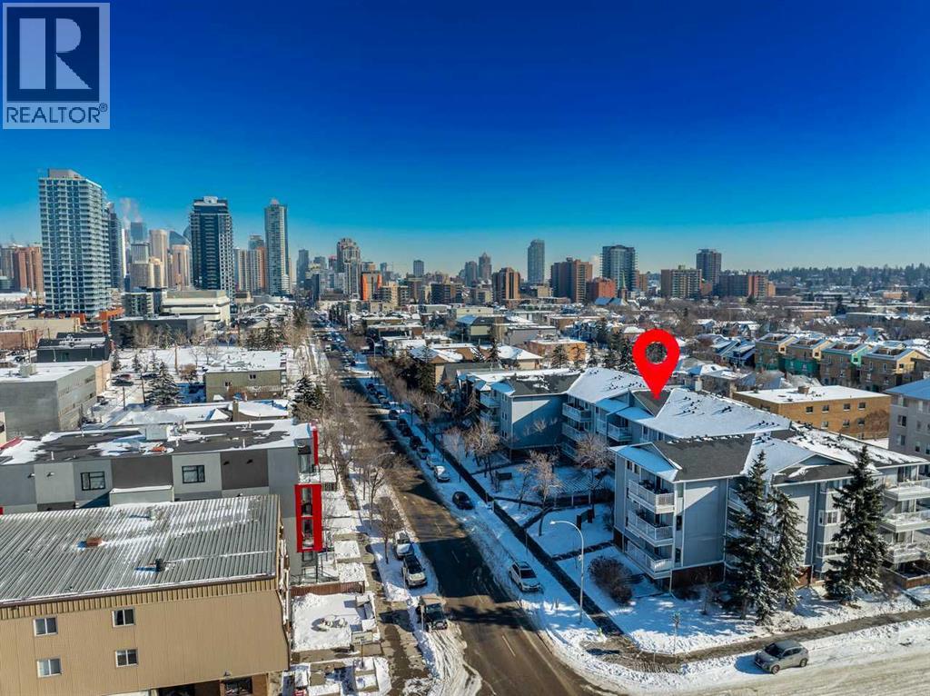 313, 1735 11 Avenue SW