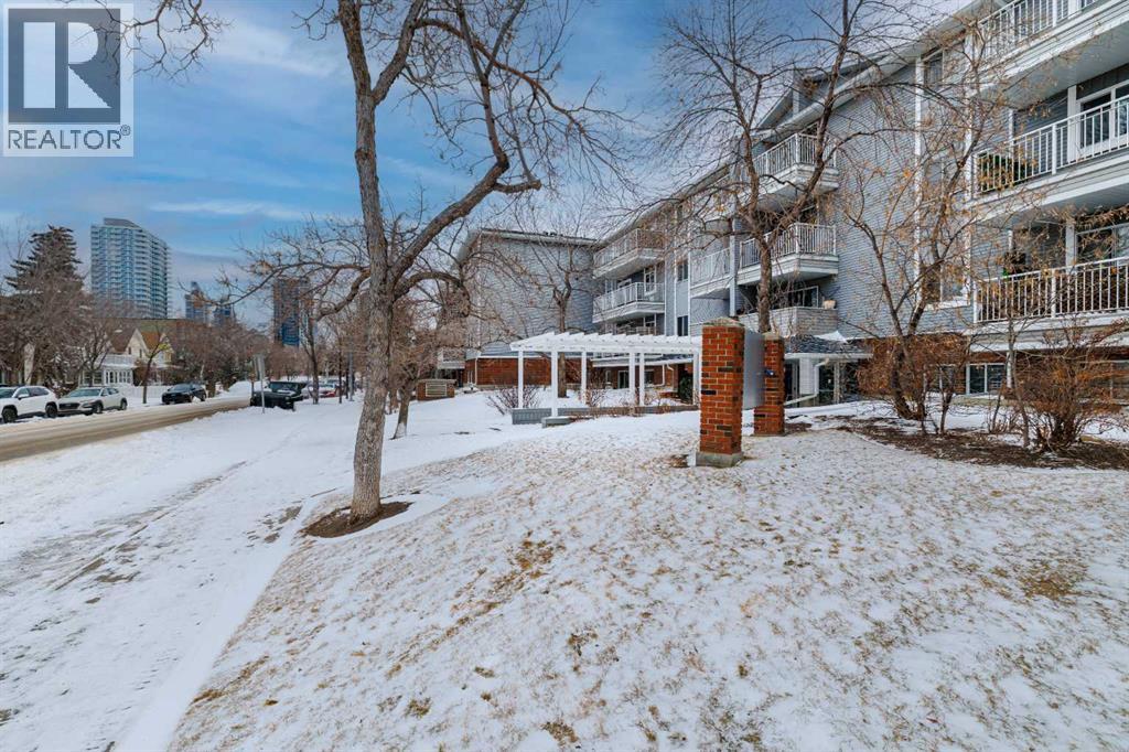 313, 1735 11 Avenue SW