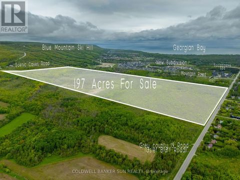 000 GREY COUNTY 19 ROAD Blue Mountains ON L9Y0N5