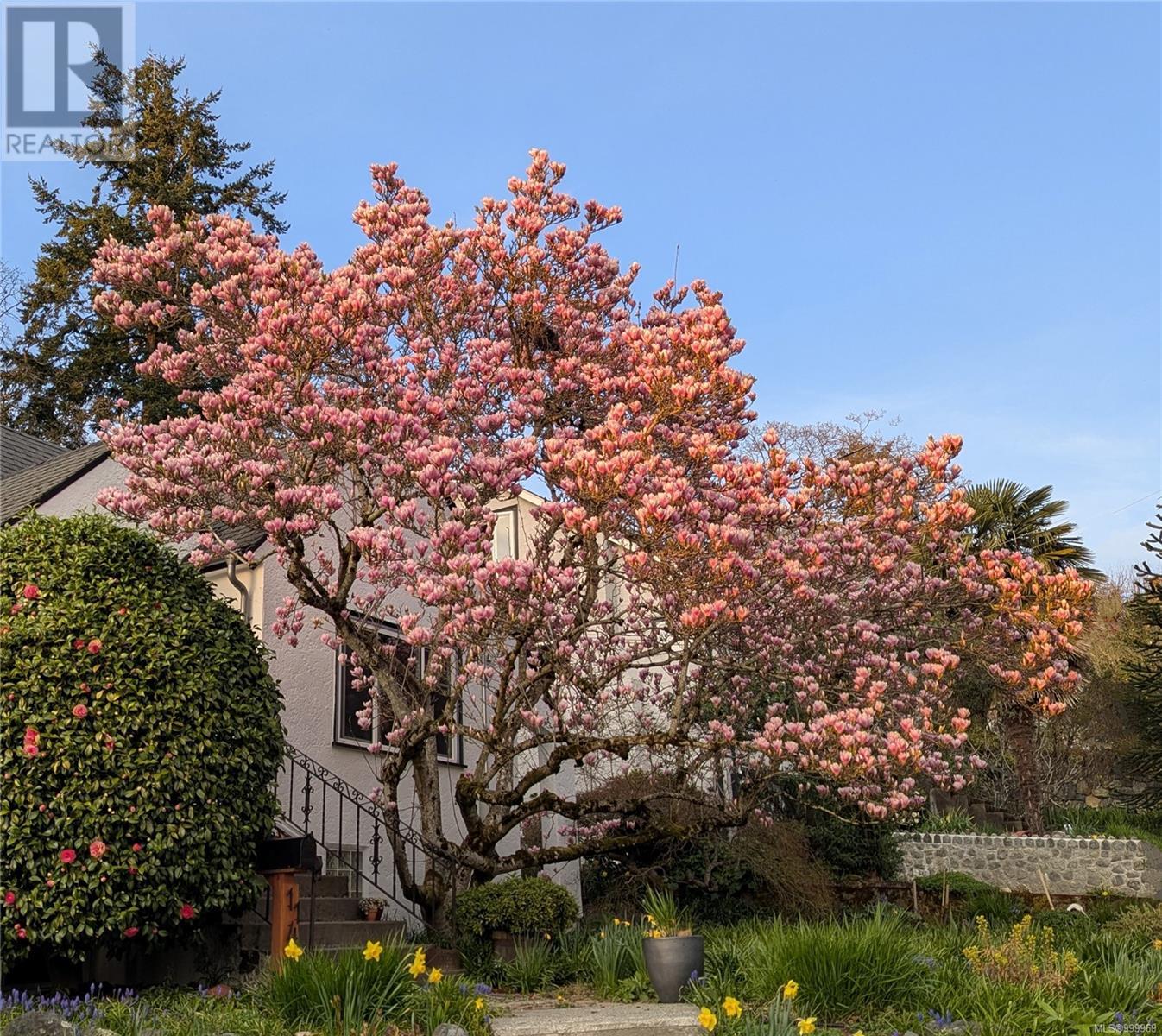 1140 Clovelly Terr