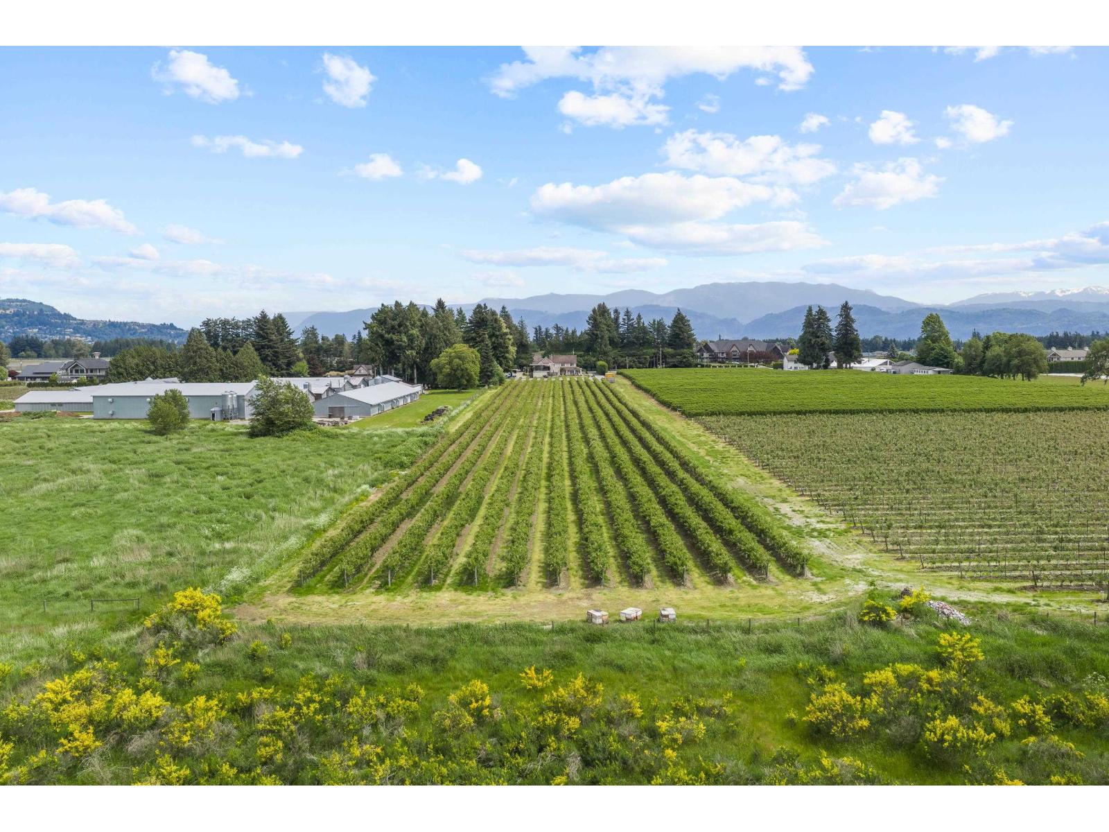 1189 GLADWIN ROAD