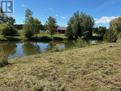 LOT 26 PRINCIPALE STREET Alfred and Plantagenet ON K0A3K0