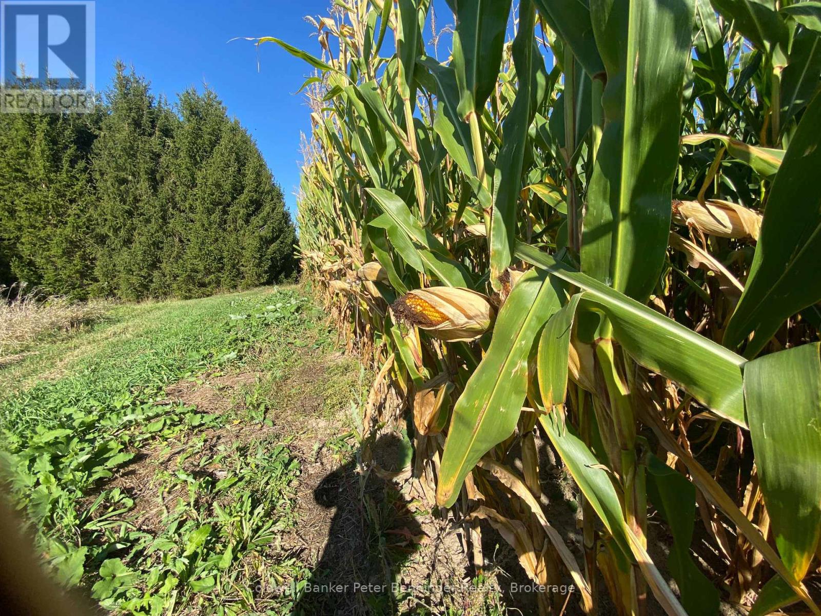 1315 CONCESSION 8 CONCESSION