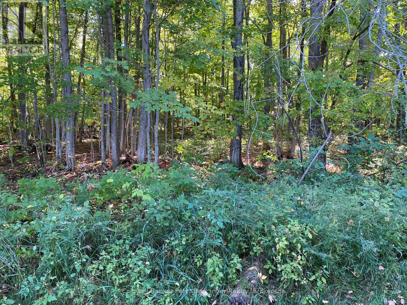 1315 CONCESSION 8 CONCESSION