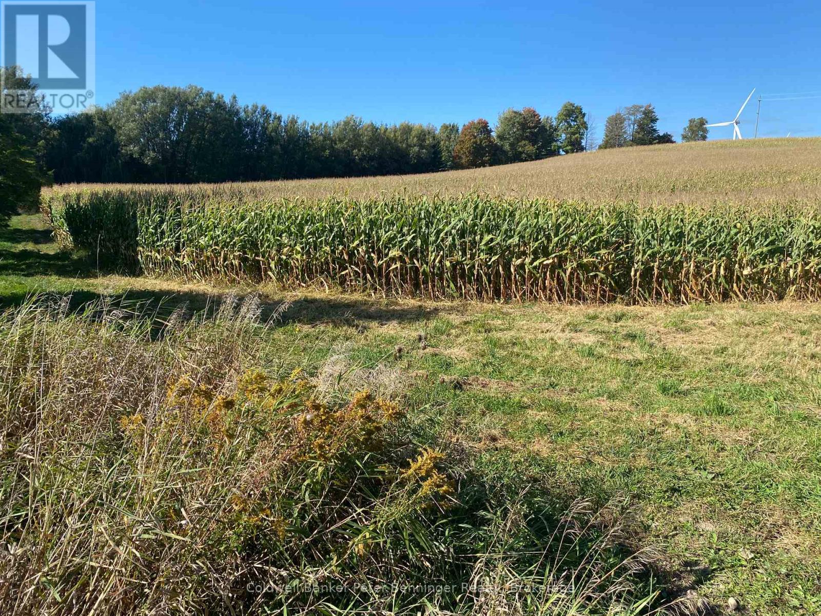 1315 CONCESSION 8 CONCESSION