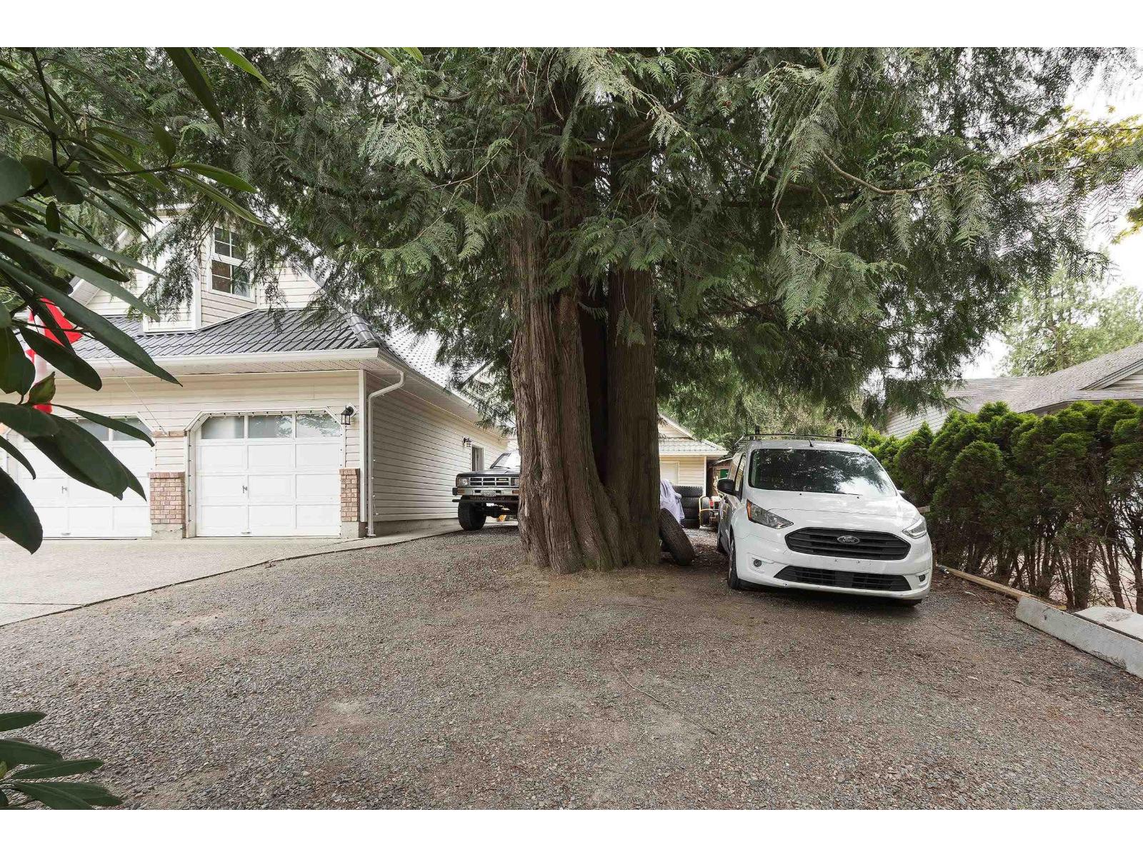 52394 YALE ROAD|Rosedale