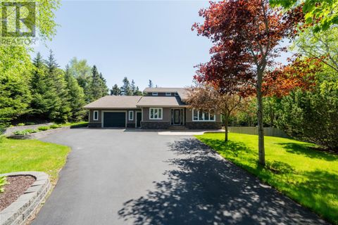 29 Spruce Hill Place Conception Bay South NF A1W5N1