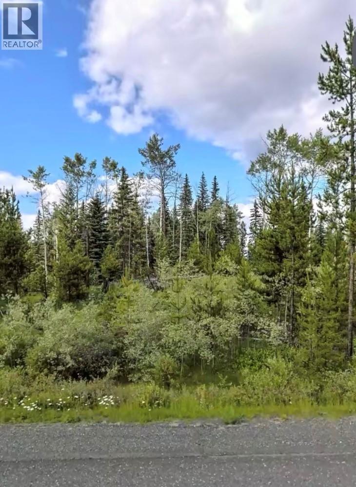 LOT 3 HORSE LAKE ROAD