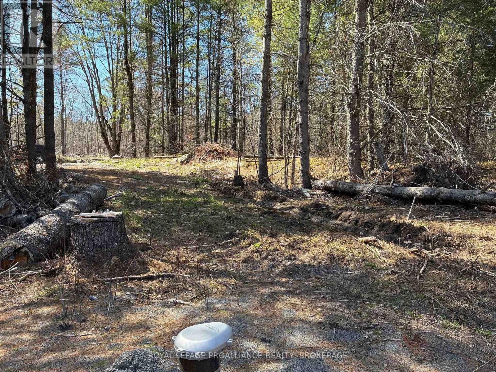 LOT 4 LEVEQUE ROAD