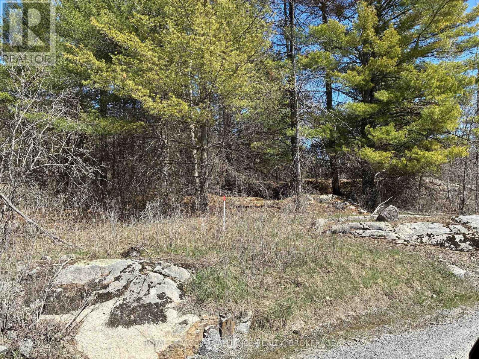 LOT 4 LEVEQUE ROAD