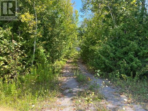 0 SUMCOT DRIVE Trent Lakes ON K9J6X2