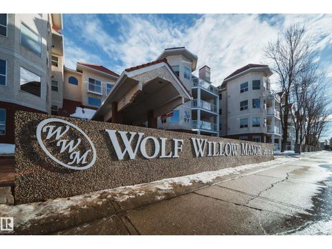 #411 6703 172 ST NW Edmonton AB T5T6H9