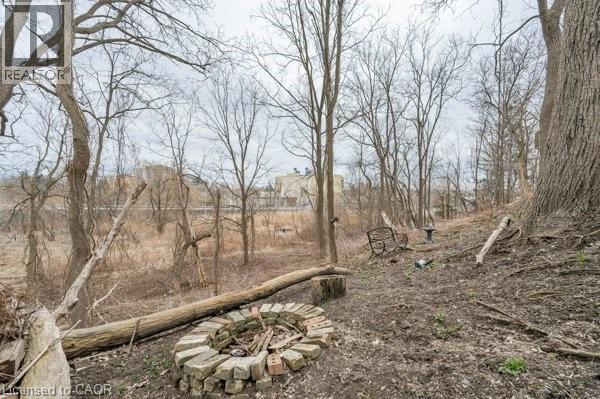 163 FOUNTAIN Street N