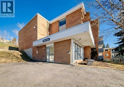 356, 1620 8 Avenue NW Calgary AB T2N1C4