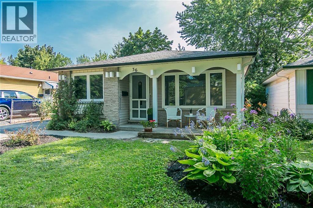 36 AMOS Avenue
